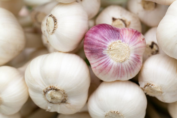 garlic health benefits image
