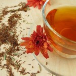 rooibos tea health benefits