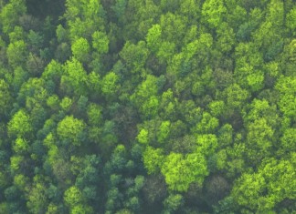 Help Save the Planet With Your Plate and Fork
