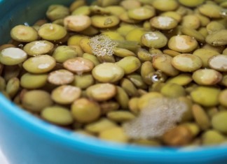 Lentils soaking in water