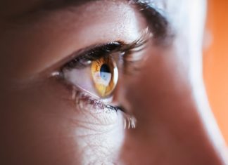 Woman brown eye with long eyelashes