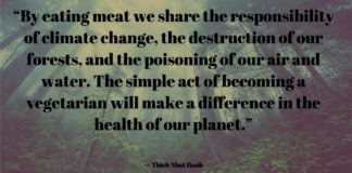 Thich Nhat Hanh Quote