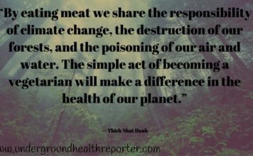 Thich Nhat Hanh Quote