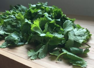 Fresh Cut Cilantro on a Cutting Board