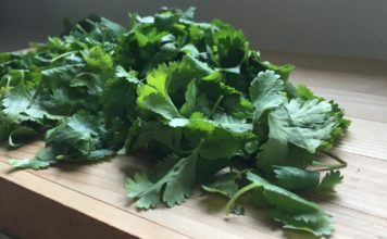 Fresh Cut Cilantro on a Cutting Board