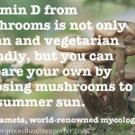 Paul Stamets quote about vitamin D from mushrooms