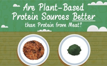 Are plant-based protein sources better