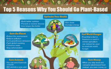 why should I go plant-based