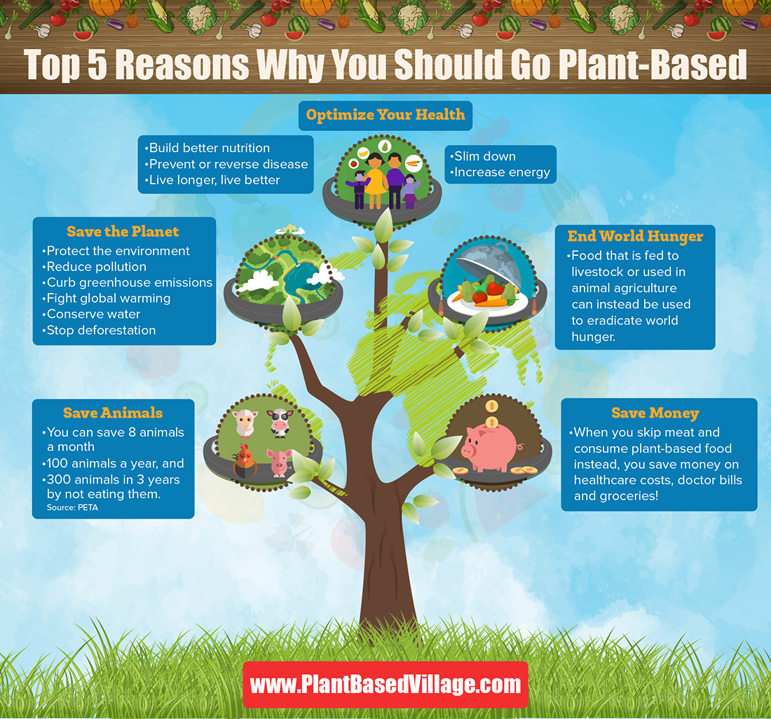 why should I go plant-based