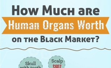how much are human organs worth on the black market?