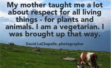 photographer; David LaChapelle quote