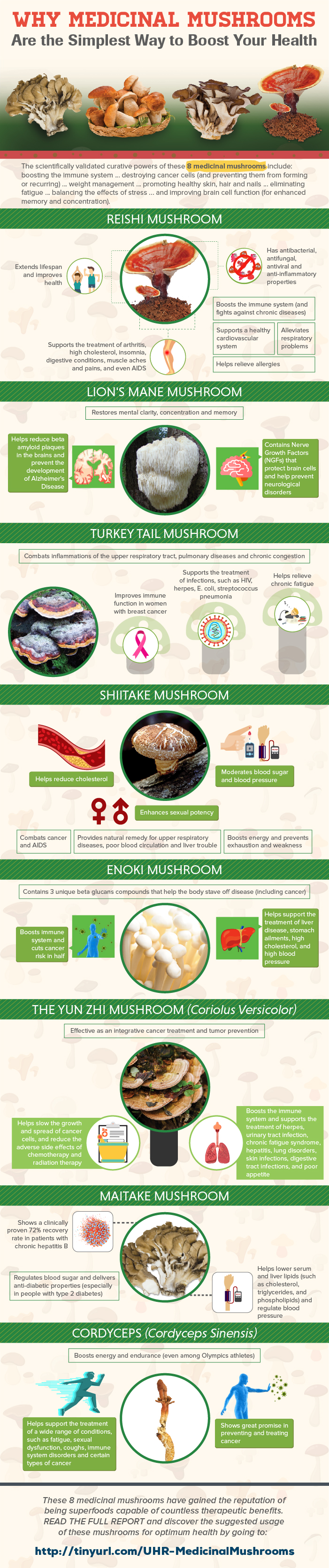 Infographic about 8 medicinal mushrooms that will boost health