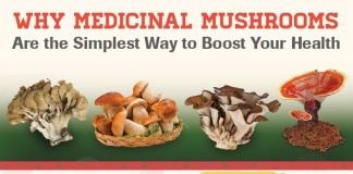 medicinal mushrooms boost your health