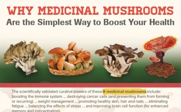 medicinal mushrooms boost your health