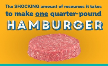 quarter pound hamburger