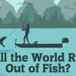 Will the world run out of fish thumbnail