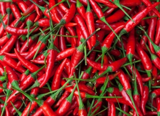 Love Your Red Hot Chili Peppers and Live to be 100! red chili peppers