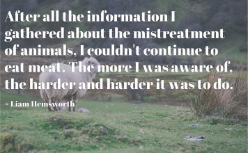 Liam Hemsworth quote about cruelty to animals