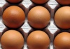 The One Egg Carton Claim that Matters brown eggs