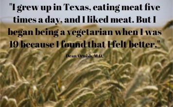 being a vegetarian felt better