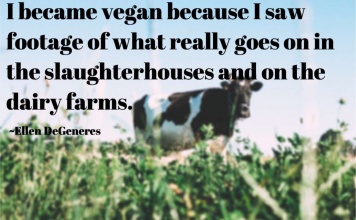 I became a vegan
