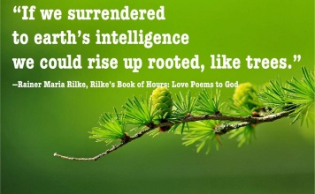 earth's intelligence