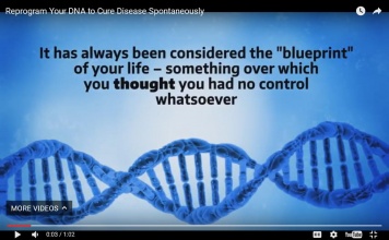 Program Your DNA