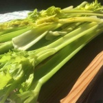 celery-board_medium