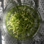 celery-soaking_medium