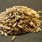 fennel_medium