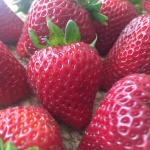strawberries-burlap-2_mediu