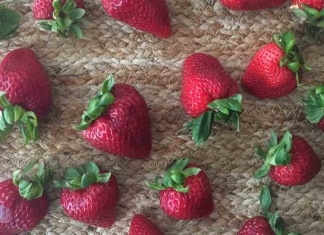 A Simple Trick to Make Strawberry Season Last Forever