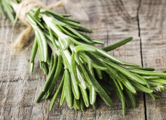 How Rosemary Reduces Stress, Improves Mental Efficiency and Test-Taking Performance
